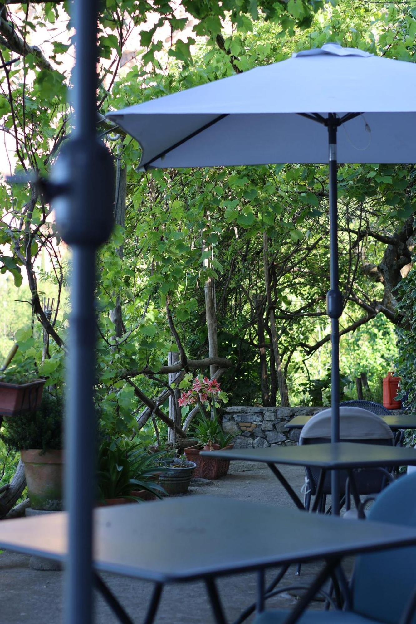 Colle Dell'Ara Bed & Breakfast โปซิตาโน ภายนอก รูปภาพ